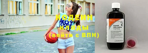 ешки Вяземский