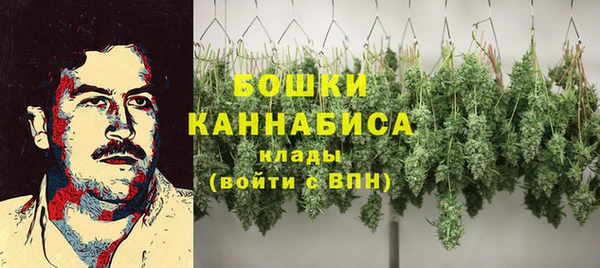 ешки Вяземский
