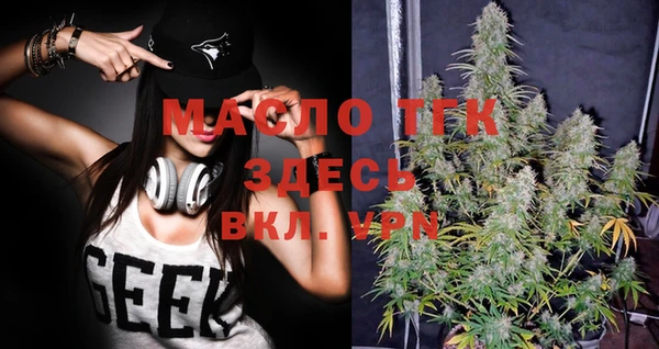 ешки Вяземский