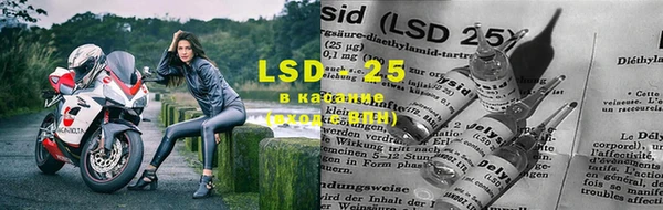 прущий лед Вязьма